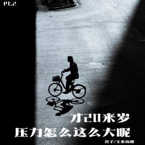 Listen to 才20来岁 压力怎么这么大呢Pt.2 song with lyrics from 萱子