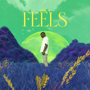 CtrlT的专辑Feels (Explicit)
