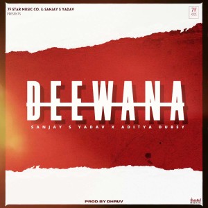 Listen to Deewana song with lyrics from Sanjay S Yadav