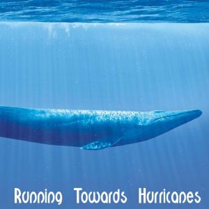 Album Running Towards Hurricanes oleh Bradshaw