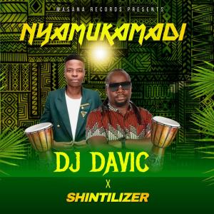 DJ Davic的專輯Nyamukamadi (feat. Shintilizer)