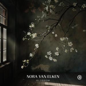 Nora Van Elken的專輯Blossom