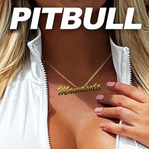 Pitbull的專輯Mamasota