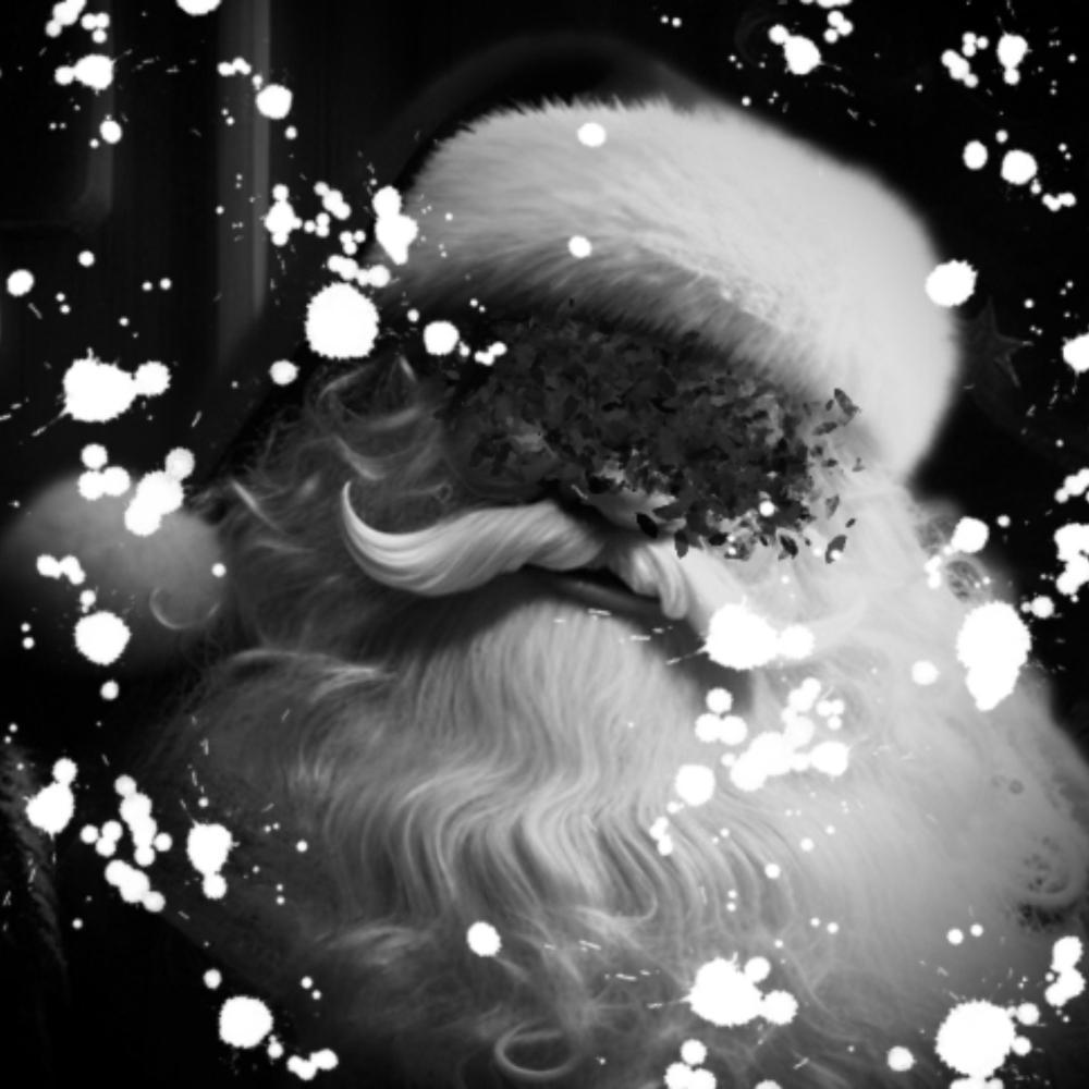 north pole noir