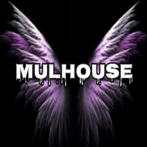 ดาวน์โหลดและฟังเพลง Rave in the Jungle (Jungle Version) พร้อมเนื้อเพลงจาก Mulhouse