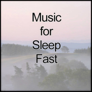 收聽Sleep Music Laboratory的Music for Sleep Fast "St. John's Wort"歌詞歌曲