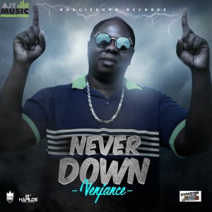 收聽Venjance的Never Down歌詞歌曲
