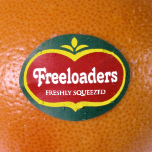 Freeloaders的專輯Freshly Squeezed