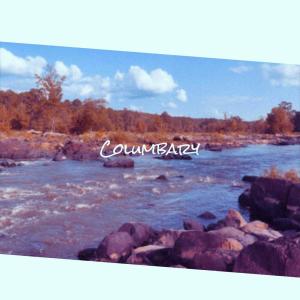 Album Columbary from Various