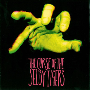 ดาวน์โหลดและฟังเพลง Cheerleading Is Big Business พร้อมเนื้อเพลงจาก Selby Tigers