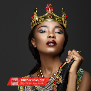 Steve 97的專輯Point Of True Love