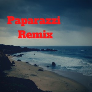 Album Paparazzi Remix from Dance Monkey