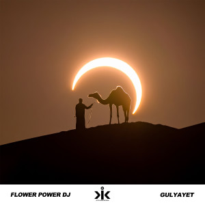 ดาวน์โหลดและฟังเพลง Gulyayet พร้อมเนื้อเพลงจาก Flower Power DJ