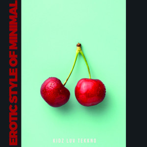 อัลบัม Erotic Style Of Minimal ศิลปิน Various