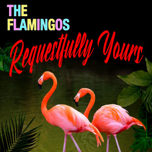 Dengarkan lagu You'll Never Walk Alone nyanyian The Flamingos dengan lirik