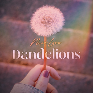收聽Mia Love的Dandelions歌詞歌曲