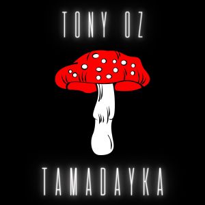 Listen to Tamadayka song with lyrics from Tony Oz