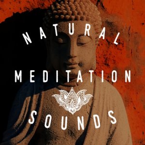 Natural Sounds的專輯Natural Meditation Sounds
