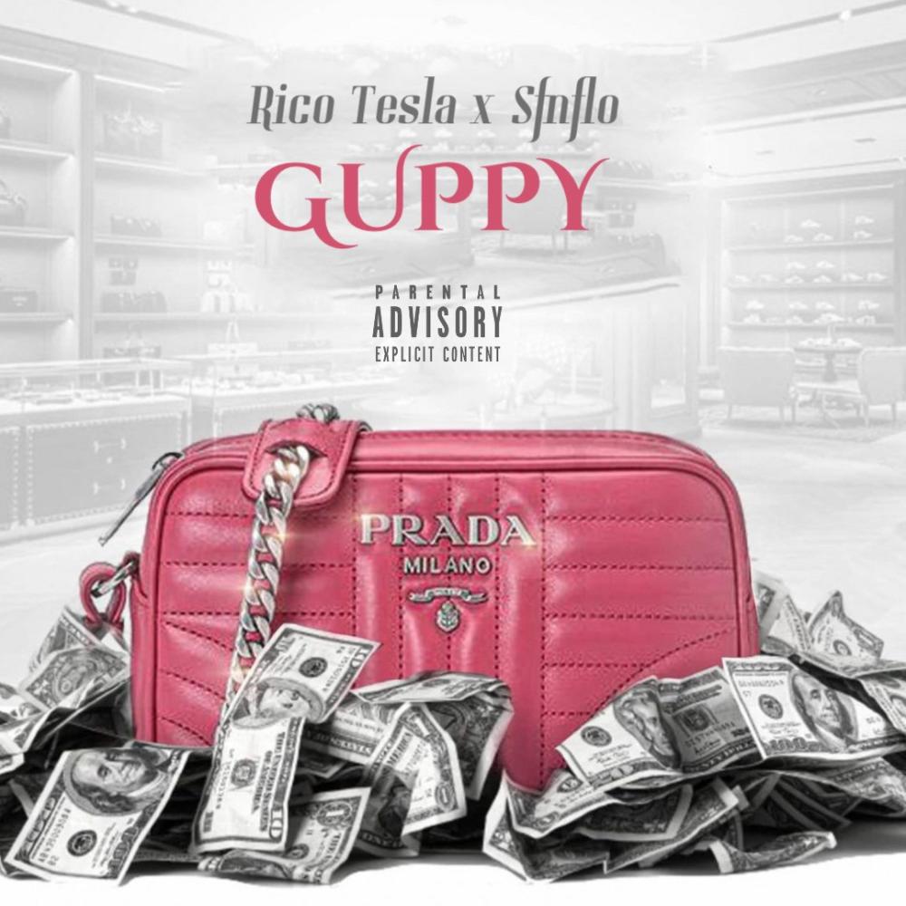 Guppy (feat. SFN Flo) (Explicit)