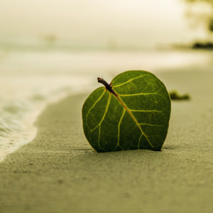Album Last Mile Of The Way | Nature's Blessing, Serenity Instrumental Music from Meditación Maestro