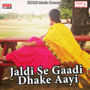 Album Jaldi Se Gaadi Dhake Aayi oleh Amawas Raj