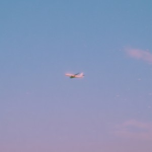 Album Sky from 