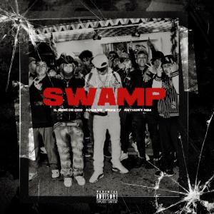 Album Swamp (Explicit) oleh Various