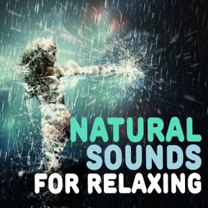 ดาวน์โหลดและฟังเพลง Spring Bird Song พร้อมเนื้อเพลงจาก Sleep Music with Nature Sounds Relaxation