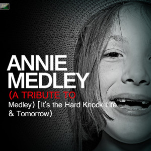 收聽Ameritz Tribute Standards的Annie Medley (Tribute Version)歌詞歌曲