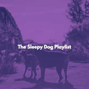อัลบัม The Sleepy Dog Playlist ศิลปิน Restaurante Jazz Ambiente