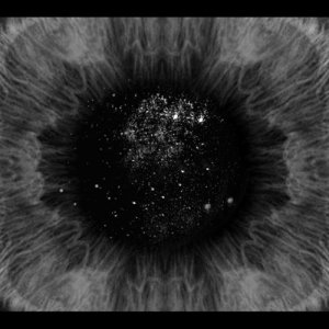 ดาวน์โหลดและฟังเพลง W.K.W.T.G.O.D. + Undo Mask Undo พร้อมเนื้อเพลงจาก The Dry Mouths