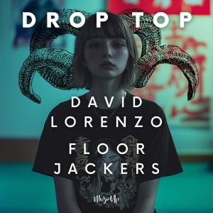 ดาวน์โหลดและฟังเพลง Drop Top พร้อมเนื้อเพลงจาก Floor Jackers