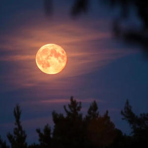 收聽B1ackHeart的Luna: The Full Moon歌詞歌曲