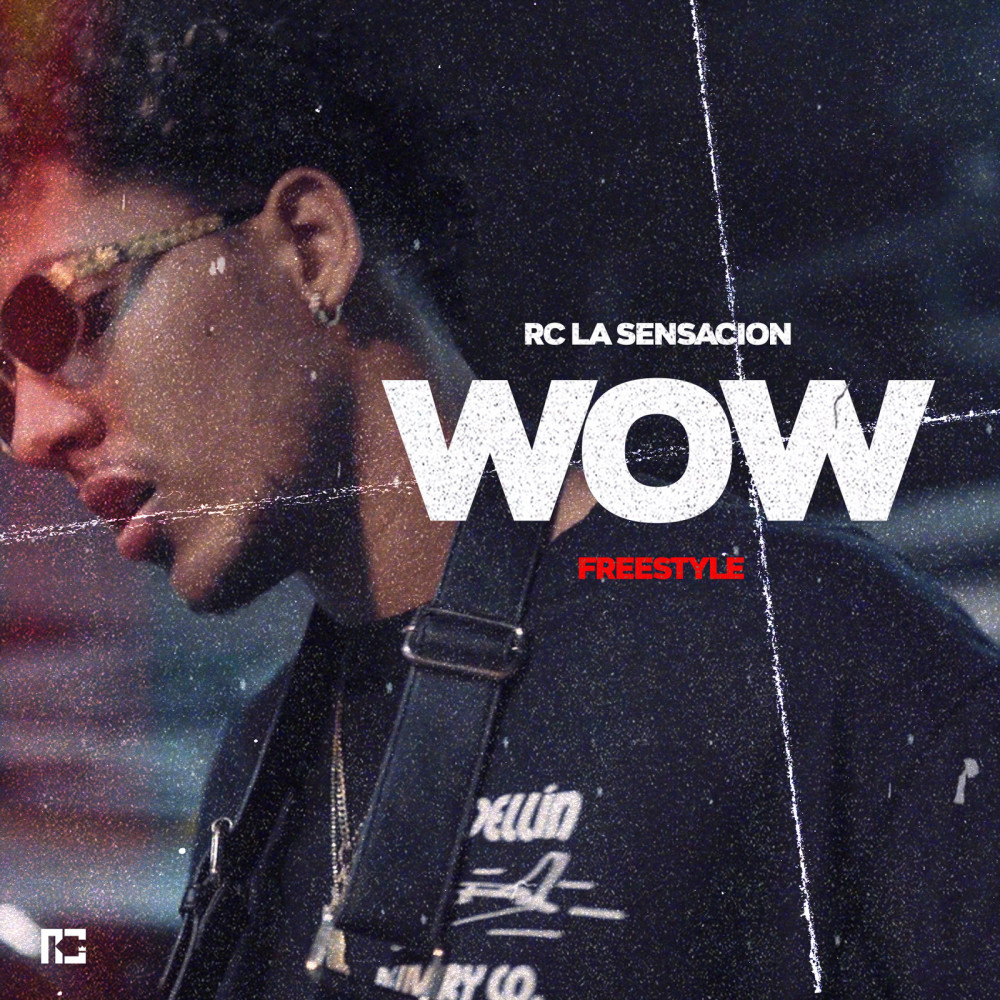 Wow (Freestyle) (Explicit)