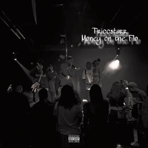 Triccstarr的專輯money on the flo (Explicit)