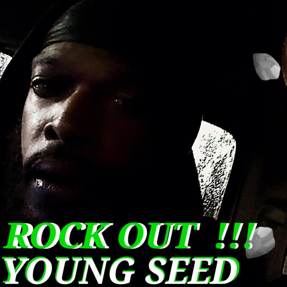 ROCK OUT !!! (feat. YOUNG SEED)