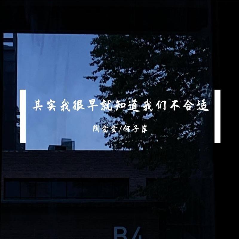 其实我很早就知道我们不合适 (伴奏)