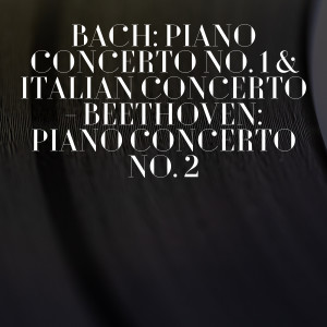 ดาวน์โหลดและฟังเพลง Piano Concerto No. 1 พร้อมเนื้อเพลงจาก Evgeny Mravinsky & the Leningrad philharmonic Orchestra