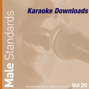 收聽Ameritz的Can’t Help Falling In Love (In The Style Of Julio Iglesias)歌詞歌曲