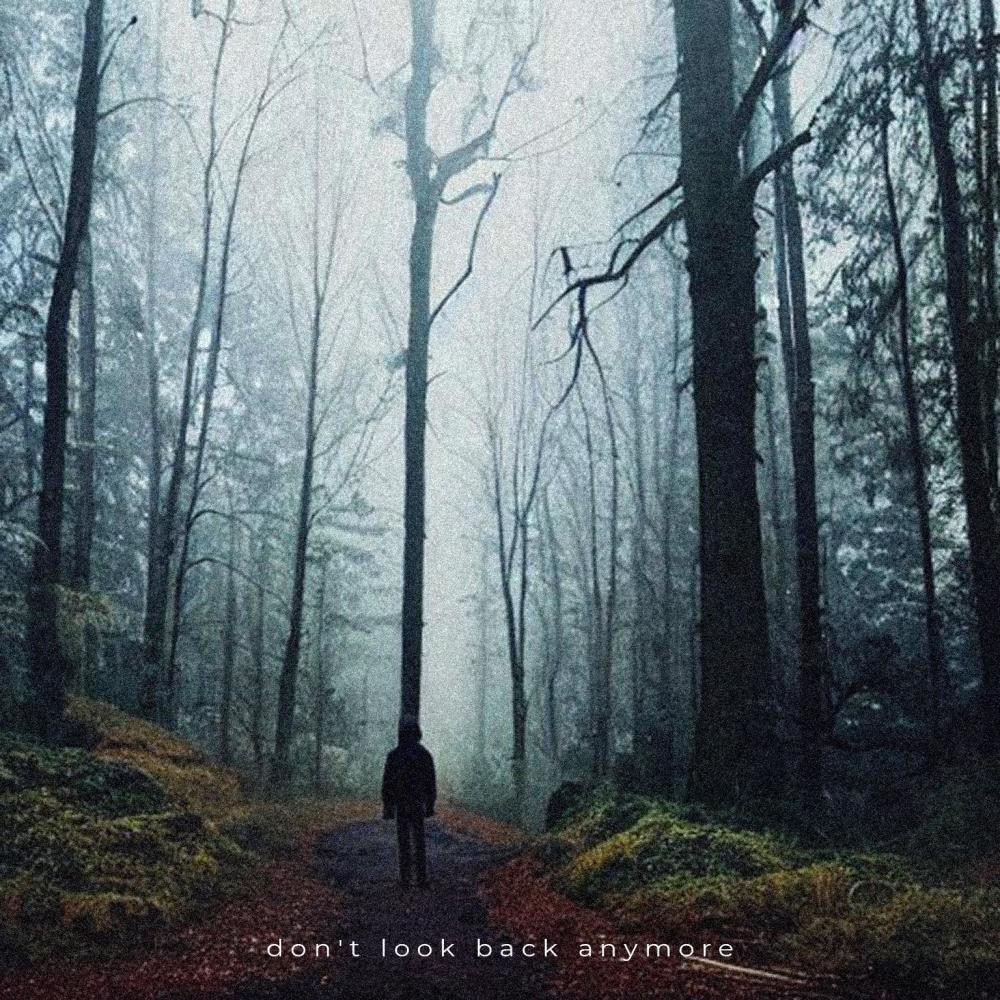 don't look back anymore (feat. .alome)