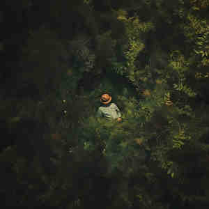 Listen to daydreams song with lyrics from very noise person