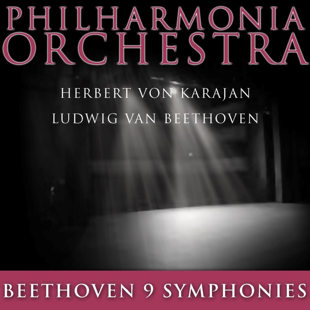 Symphony No. 9 in D Minor, Op. 125 Choral: IV. Presto - Allegro