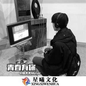Listen to 张灯结彩 song with lyrics from 李华能