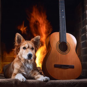 Doggy Relaxing Sounds的專輯Melodies for Dogs: Relaxing Guitar by the Fire