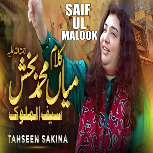 Listen to Saif ul Malook song with lyrics from Tahseen Sakina