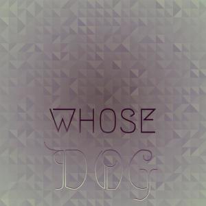 Various的专辑Whose Dog