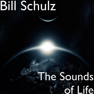 Listen to You Never Walk Alone song with lyrics from Bill Schulz