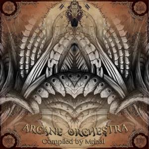 收聽Grandahl的Lotus Baby歌詞歌曲