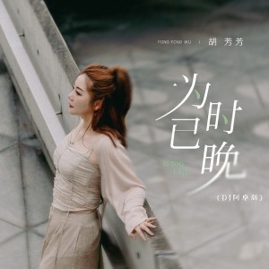 胡芳芳的专辑为时已晚(越大越觉孤单)(DJ阿卓版)