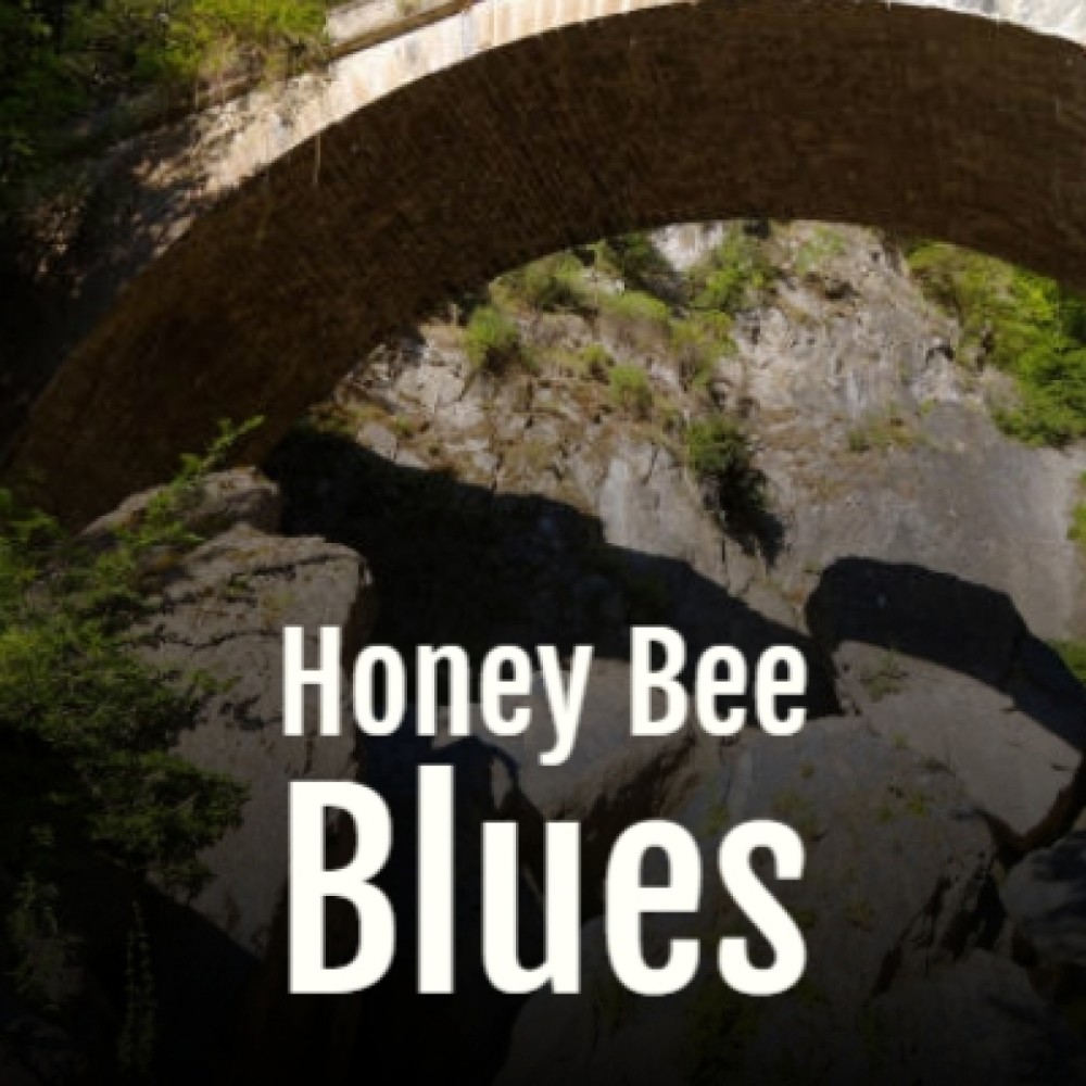 Honey Bee Blues